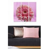 Wallity Set slika MDF3247557, 3 dijela | Eponuda.ba