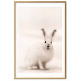  Plakat - Fearful Look 60x90 Zlatni okvir s margom | shoptok.hr