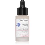 Teaology Hyaluronic Infusion hidratantni serum za lice s hijaluronskom kiselinom 30 ml Cijene
