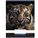 NEBULO Zvezek Tigris A4 80-32 | Shoptok.si