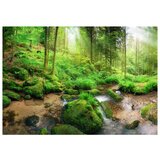  Samoljepljiva foto tapeta - Humid Forest 147x105 | shoptok.hr