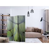  Paravan u 3 dijela - Fleeting moments [Room Dividers] 135x172 | shoptok.hr