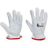 Canis Rukavice kožne Bono/ bela Cene