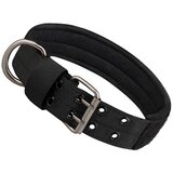 INF Taktična ovratnica za pse - najlon in kovinska zaponka M, (21780193) | Shoptok.si