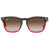 Ray-ban steve naočare za sunce rb 4487 6631/13 | ePonuda.com