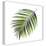 Styler Slika Canvas Greenery Black Palm, 32 x 32 cm | Shoptok.si