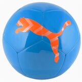 Puma Icon Ball | shoptok.hr