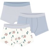 Petit Bateau BOXERS X 3 Plava Cijene
