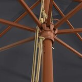 Vrtni suncobran s drvenim stupom crni 400 x 273 cm | shoptok.hr