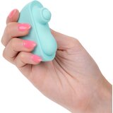 California Exotics Ovation Acclaim Aqua | Shoptok.si