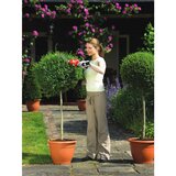 Black & Decker BLACKDECKER Akumulatorske škarje za travo in živo mejo GSL700 | Shoptok.si