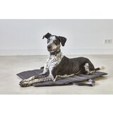MiaCara temno sivo potovalno ležišče za pse 53x80 cm strada asphalt s | Shoptok.si