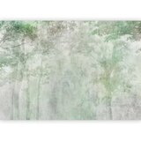  Foto tapeta - Forest Relief - First Variant 100x70 Premium | shoptok.hr
