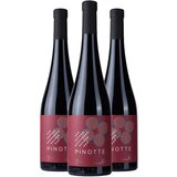 Bikicki akcija 2+1 Pinotte 10102871 2019 cene