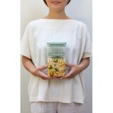 Brabantia Komplet za fermentiranje 1,6 l Tasty+ – | Shoptok.si
