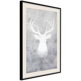  Poster - White Shadow 30x45 | shoptok.hr