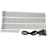 INF LED svetilka za rast z EU adapterjem, (21383671) | Shoptok.si