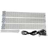 LED svetilka za rast z EU adapterjem, (21383671)
