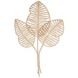 Mömax Okrasna Rastlina Leaf u