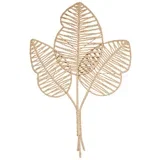 Okrasna Rastlina Leaf