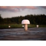 Zone Siva aluminijasta LED zatemnitvena namizna svetilka (višina 22 cm) Harvest – | Shoptok.si