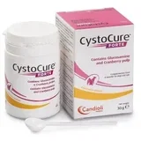cystocure forte prah 30g