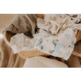 T-TOMI TETRA Cloth Diapers HIGH QUALITY plenice iz blaga Rainbow 70x70 cm 3 kos | Shoptok.si