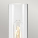  Hinkley HK-ELLISON1-BK-BN -Kupatilska svetiljka ELLISON 1xE27/40W/230V IP44 crna | Eponuda.com