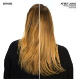 Redken Frizz Dismiss Shampoo | Shoptok.si