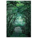  Slika - Green Pergola (1 Part) Vertical 60x90 | shoptok.hr
