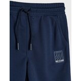 Sinsay Sportske jogger hlače s reflektirajućim printom Active | shoptok.hr