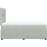 vidaXL Box spring postelja z vzmetnico svetlo siva 120x190 cm žamet | Shoptok.si