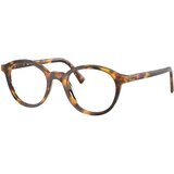 Miu Miu MU02WV 14L1O1 M (48) Havana/Kristalna | Shoptok.si