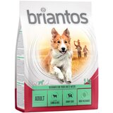 briantos suha pasja hrana 1 kg po posebni ceni! - Adult jagnjetina & riž | Shoptok.si