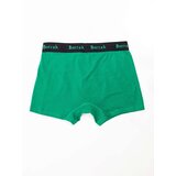 BERRAK Boxer shorts-BR-BK-4476.28P-green | shoptok.hr