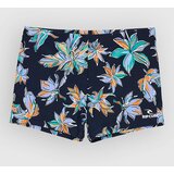 Rip Curl Corp Boyleg Sluggo Print Boardshorts navy / blue Cene