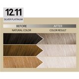 ALFAPARF MILANO Il Salone Milano Plex Rebuilder trajna boja za kosu nijansa 12.11 - Silver Platinum 1 kom | shoptok.hr