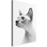 Artgeist Slika Na Platnu Hairless Cat Cene