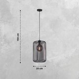 Fischer & Honsel Črna viseča svetilka s kovinskim senčilom ø 25 cm Cage – | Shoptok.si