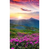 Foto tapete za zid + lepak za tapete - slovačka (popust)