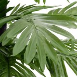  LED palma topla bijela 136 LED žarulje 220 cm | shoptok.hr