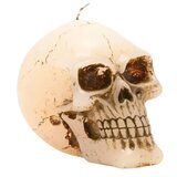 Widdop & Co. Horror - Sveća - Horror, Skull, Large | Eponuda.com