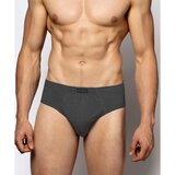 Atlantic 3-PACK Briefs for men graphite Cene