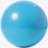 Capriolo Fitnes lopta Lopta za pilates 65cm | Eponuda.ba