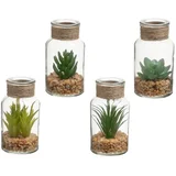 Umjetne biljke u setu 4 kom (visina 12 cm) Cactus –