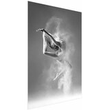  Plakat - Ballerina 21x30 Bez okvira | shoptok.hr