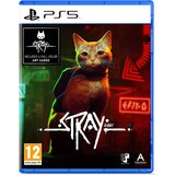  Stray (PS5) - rabljeno | Shoptok.si