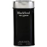 Ted Lapidus Black Soul toaletna voda za moške 100 ml | Shoptok.si