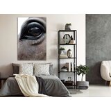  Slika - Honest Eyes (1 Part) Vertical 40x60 | shoptok.hr