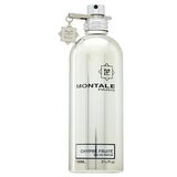 Montale Chypré - Fruité parfumirana voda unisex 100 ml | Shoptok.si